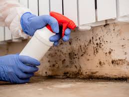 Best Mold Odor Removal Services  in Logan Elm Village, OH